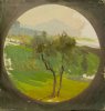 1913 - Paesaggio con albero